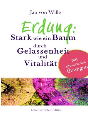 cover image of Erdung